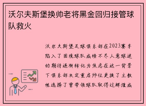 沃尔夫斯堡换帅老将黑金回归接管球队救火