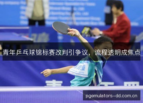 青年乒乓球锦标赛改判引争议，流程透明成焦点